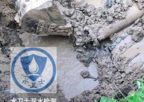 太仓水管漏水检测公司5